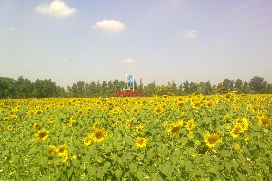 Suphanburi Agricultural Extension and Development Center image