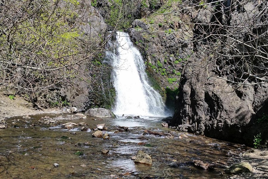 Dog Creek Falls image