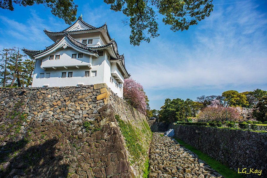 Nagoya Castle image