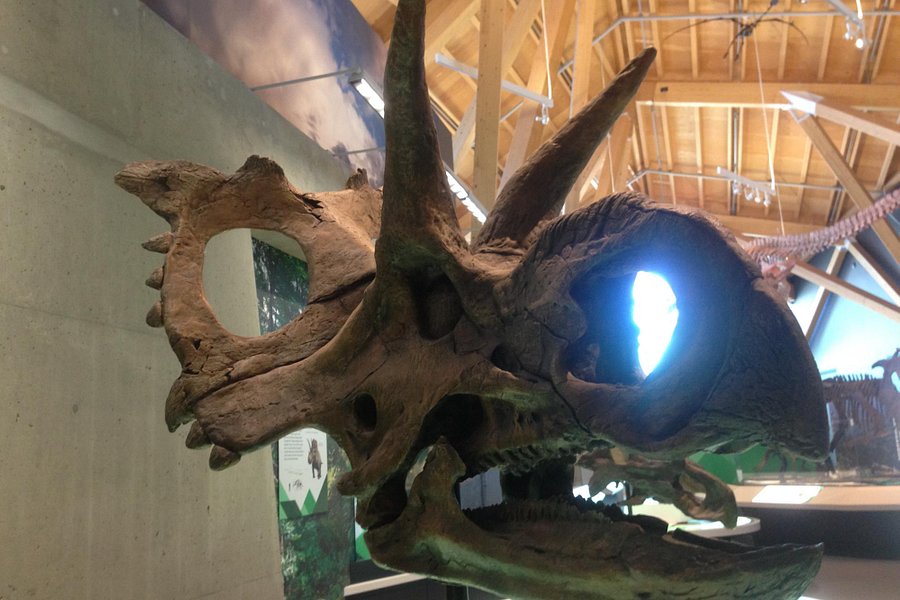 Philip J. Currie Dinosaur Museum image