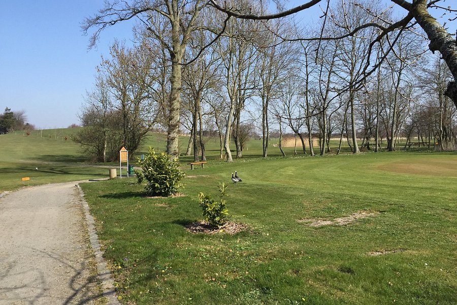 Dueodde Golf Course image