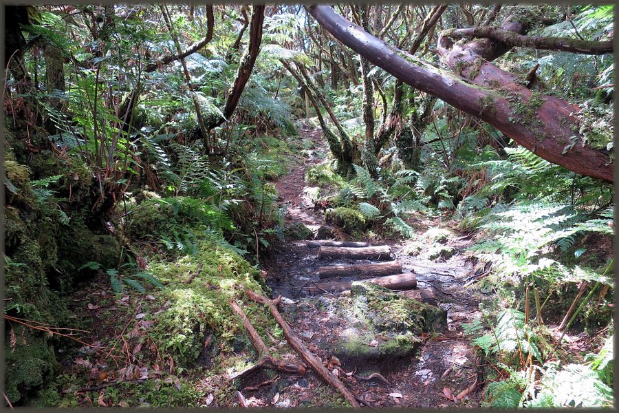 Mistérios do Sul do Pico Trail image