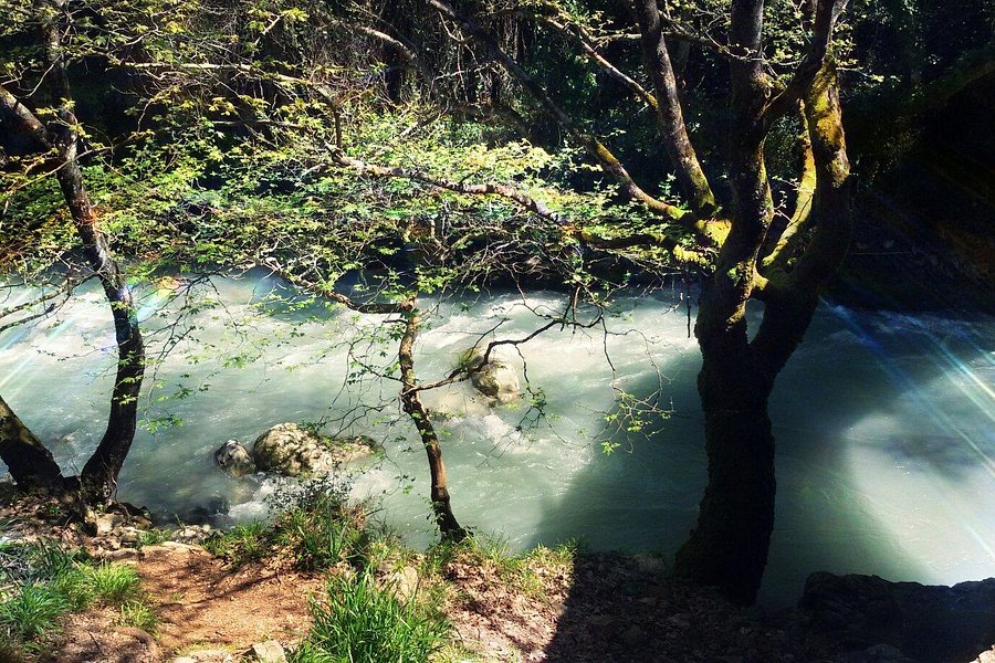 Lousios River image