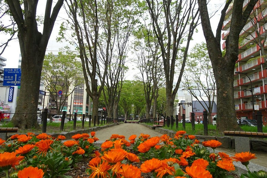 Jozenji-dori Avenue image