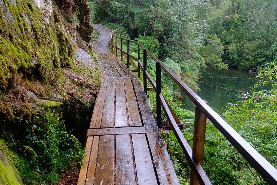 Parque Nacional Alerce Andino image