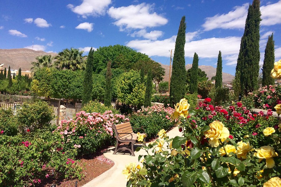 El Paso Municipal Rose Garden image