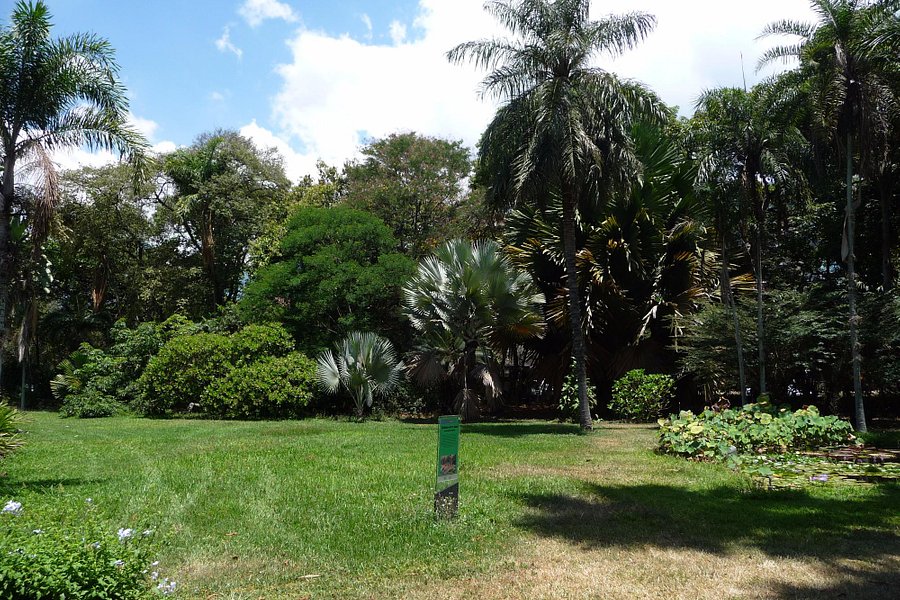 Jardín Botánico image