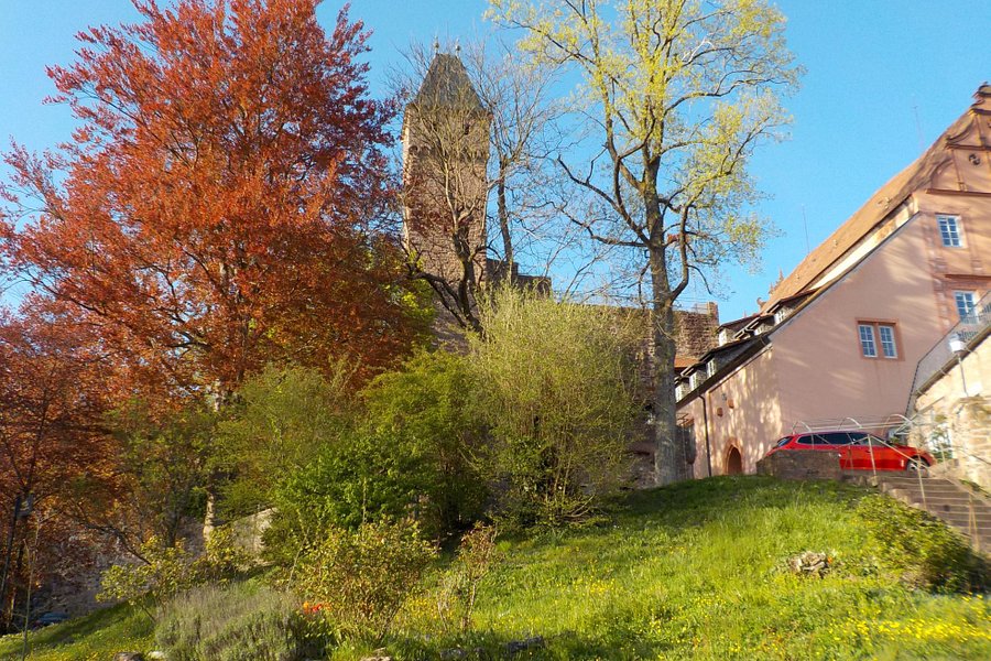 Schloss Hirschhorn image