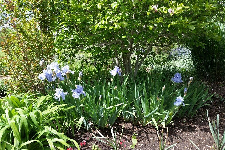 Springfield Botanical Gardens at Nathanael Greene/Close Memorial Park image