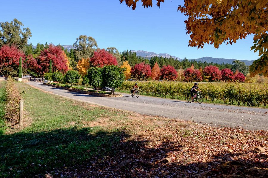 Murray to Mountains Rail Trail image