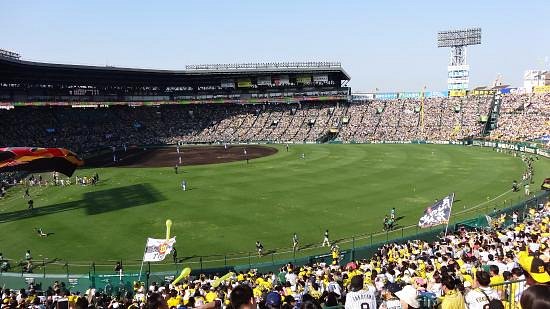 Hanshin Koshien Stadium image