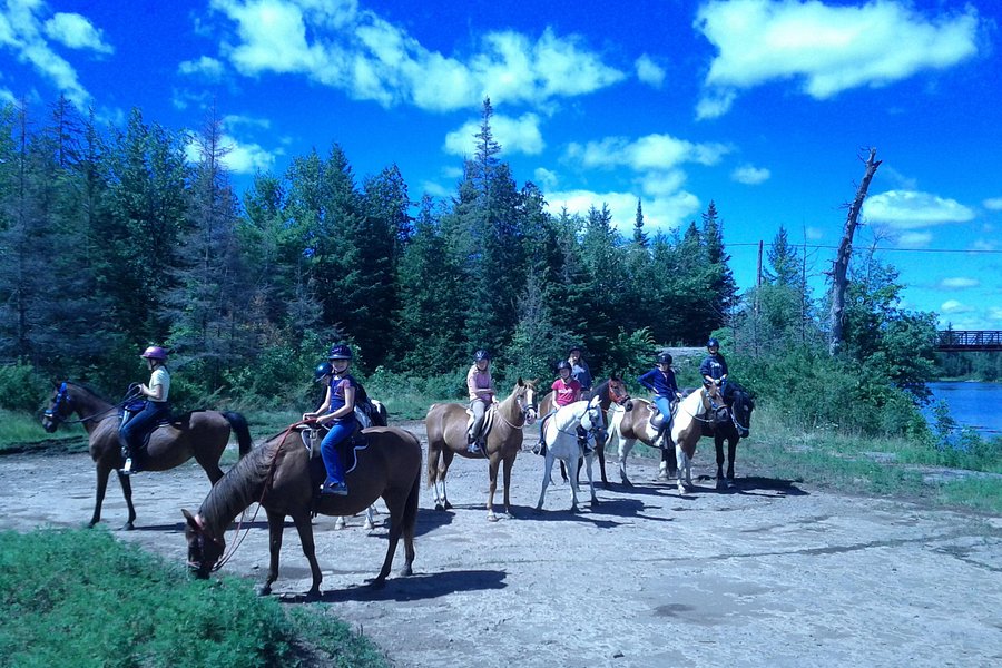 Horsin Around Riding Ranch image