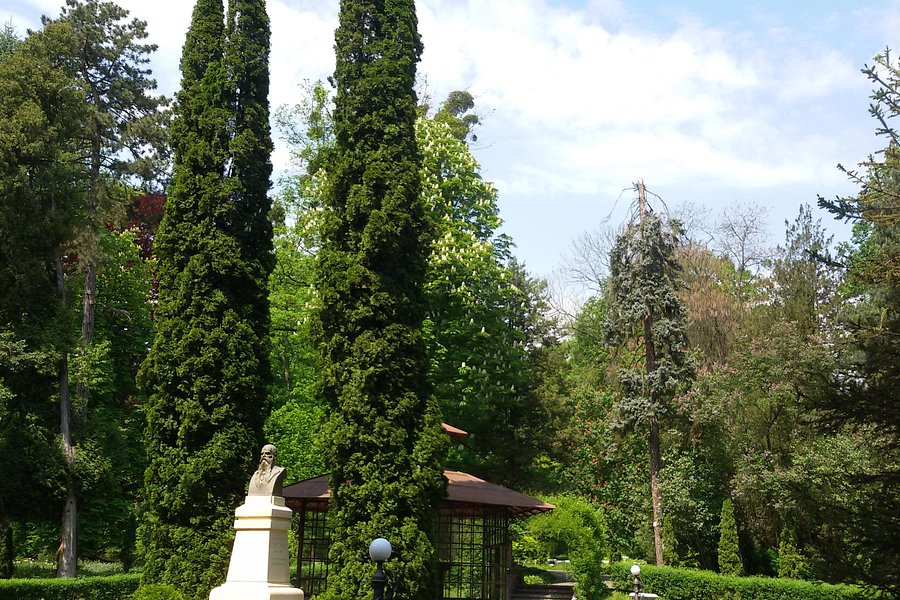 Chernivtsi National University Botanical Garden image