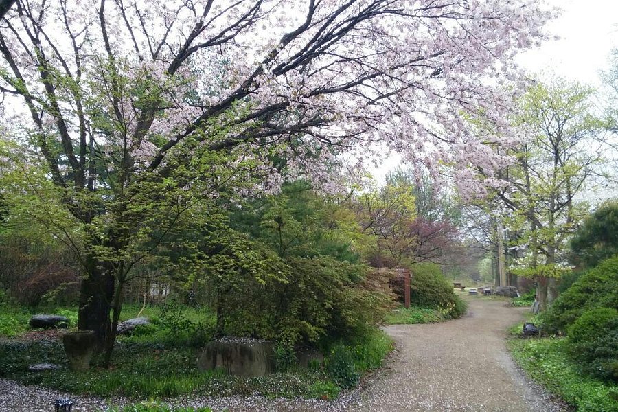 Kicheongsan Botanical Gardens image