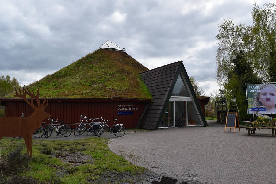 Bezoekerscentrum Dwingelderveld image