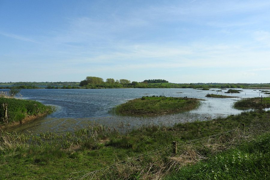 Rutland Water Nature Reserve (Anglian Water Bird Watching Centre) image