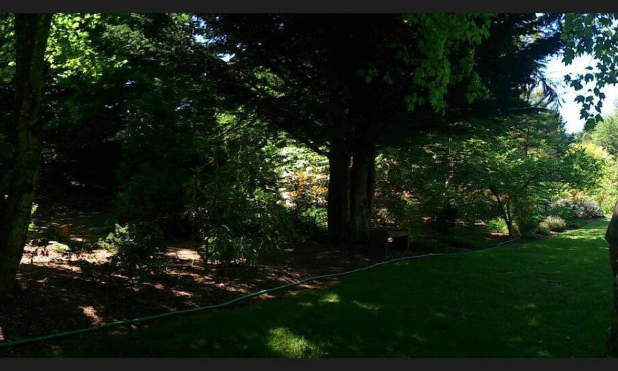 Soos Creek Botanical Garden image