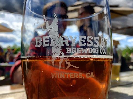 Berryessa Brewing Company image