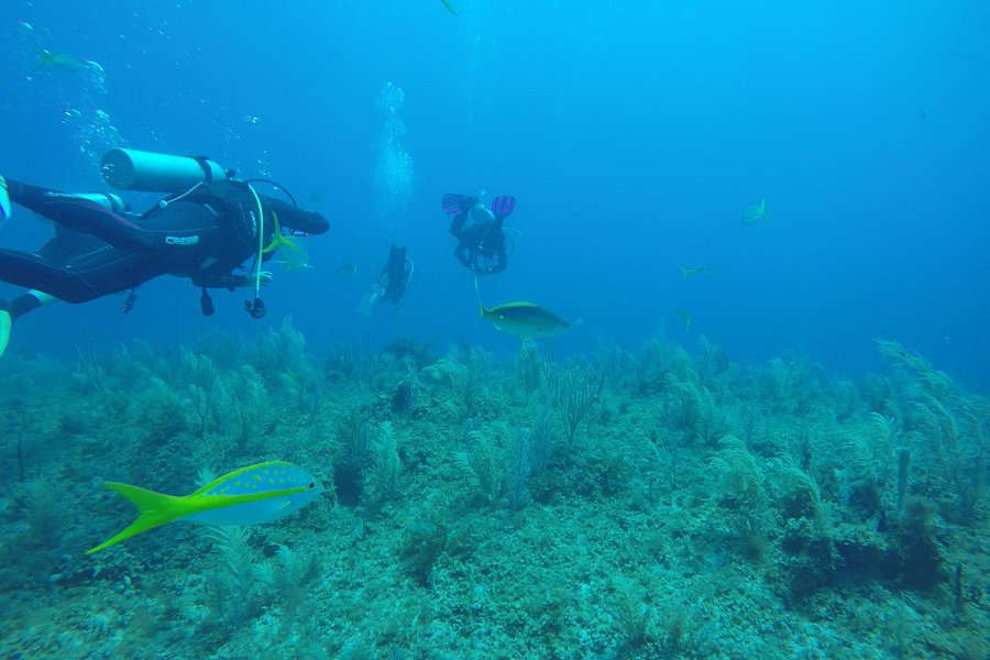 Diving Center Cayo Largo del Sur image