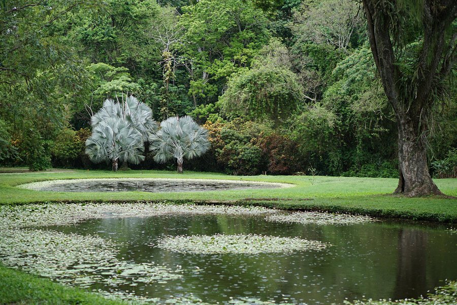 Parque de la Exotica Flora Tropical image