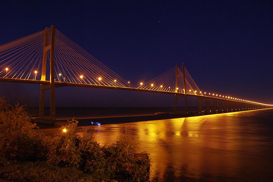 Rosario-Victoria Bridge image