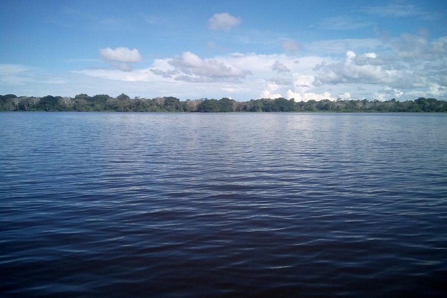 Lago Tarapoto image