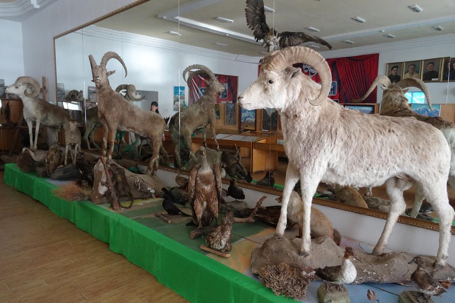 Khorog Regional Museum image