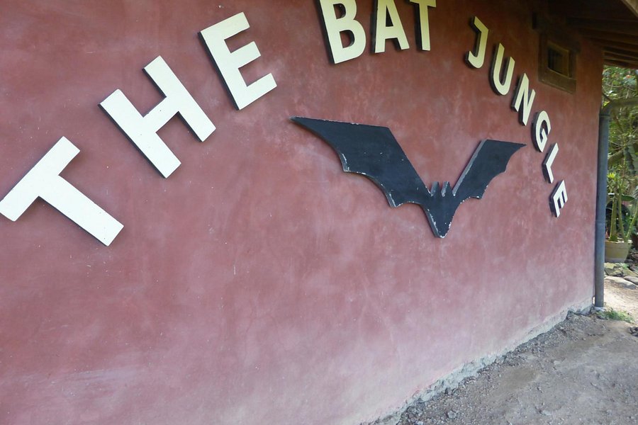 The Bat Jungle image