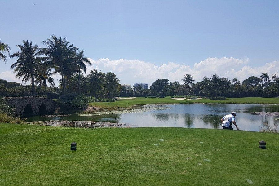 Ocean Palm Golf Club image