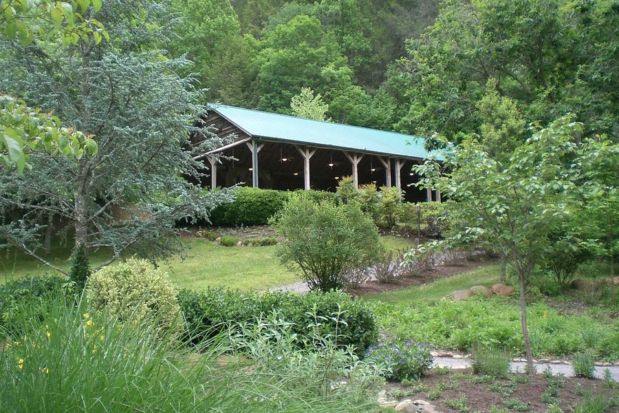 The Lily Barn Garden image