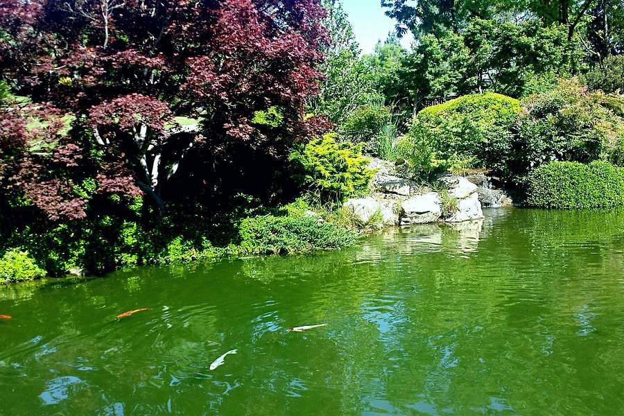 Shinzen Japanese Garden image