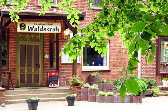 Things To Do in Land-gut-Hotel Waldesruh, Restaurants in Land-gut-Hotel Waldesruh