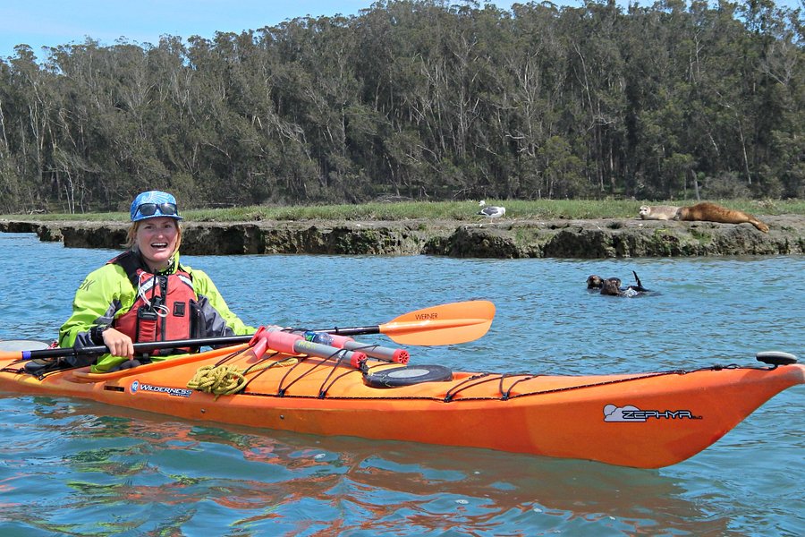 Monterey Bay Kayaks image