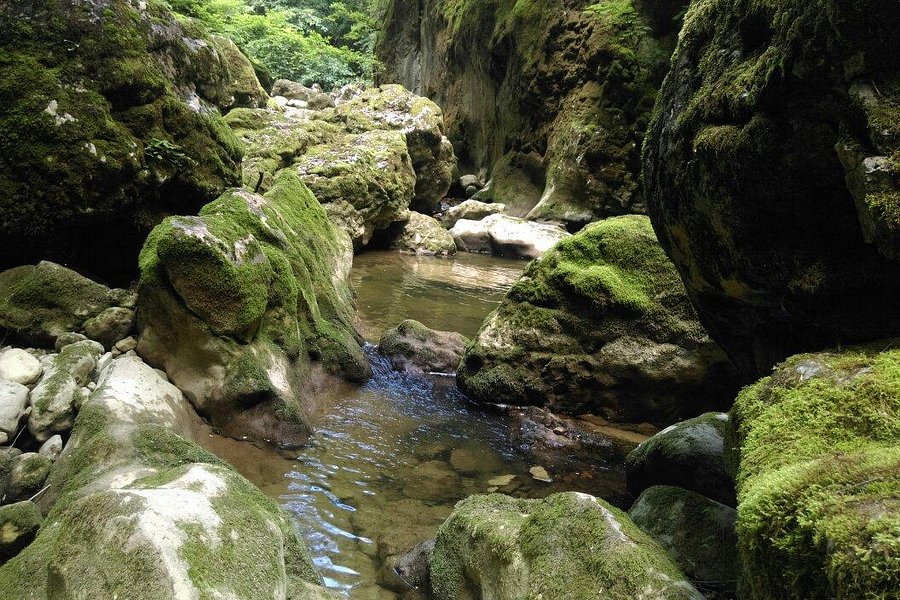 Pazin Cave image