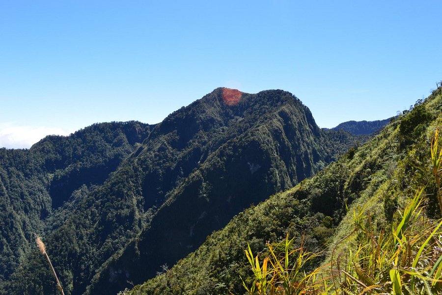 Mount Kitanglad image