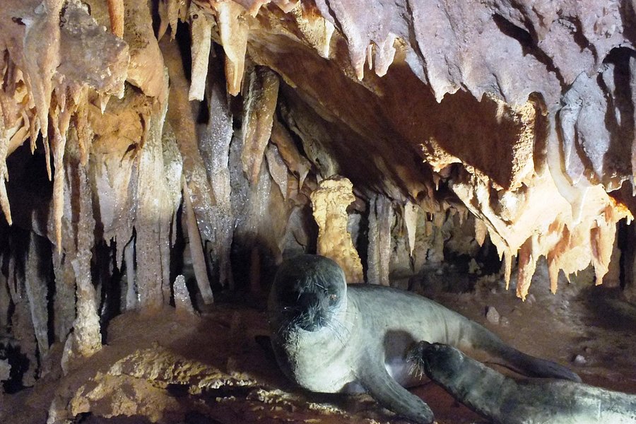 Grotta del Fico image
