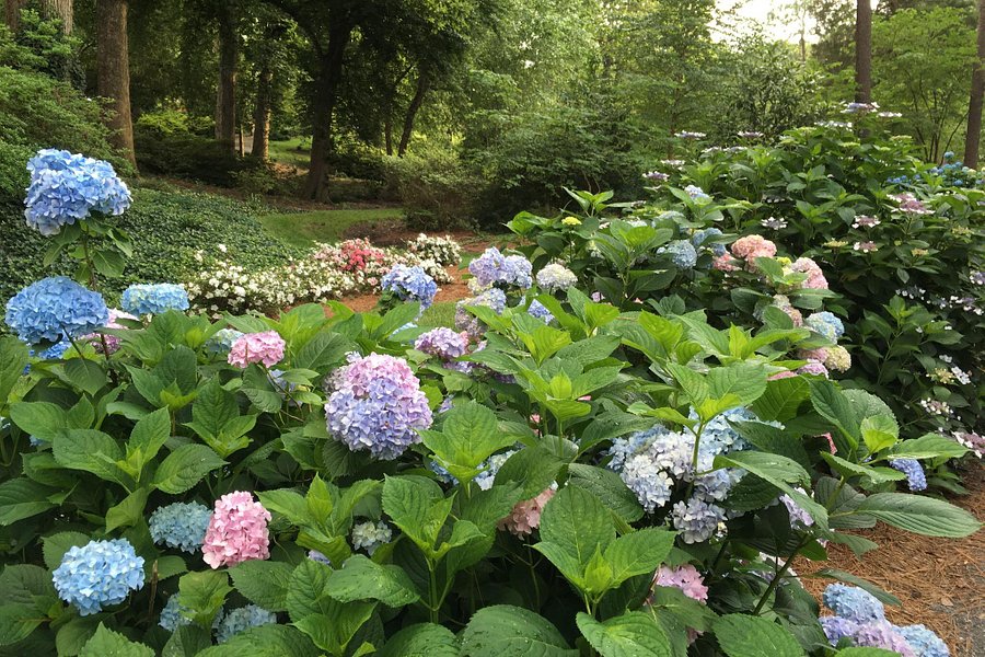 Glencairn Gardens image