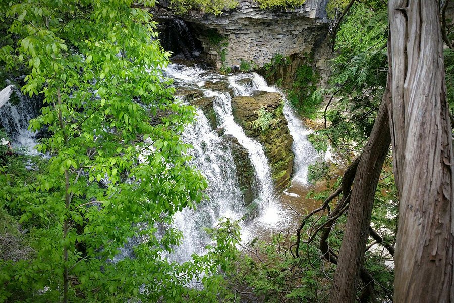 Jones Falls image