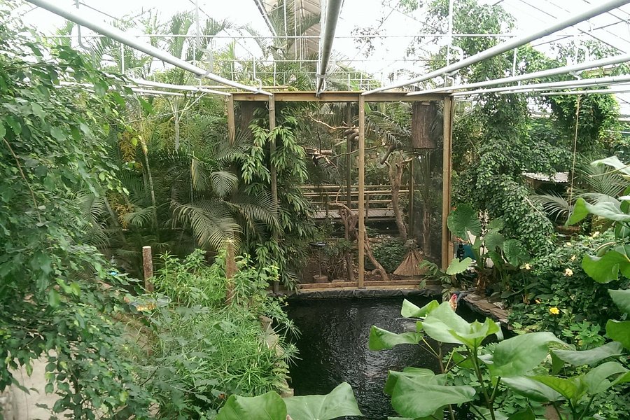 Berkenhof Tropical Zoo image