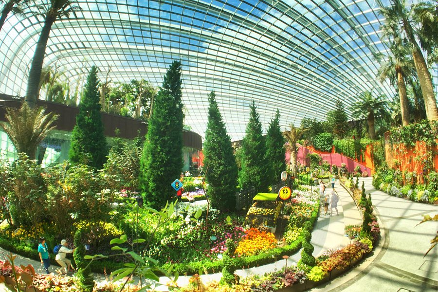 Flower Dome image