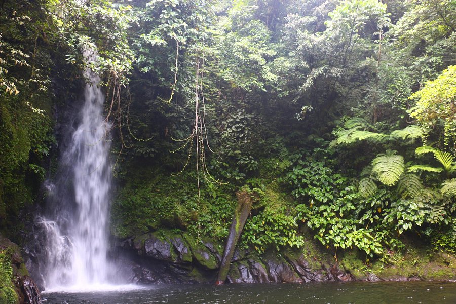 Malabsay Falls image