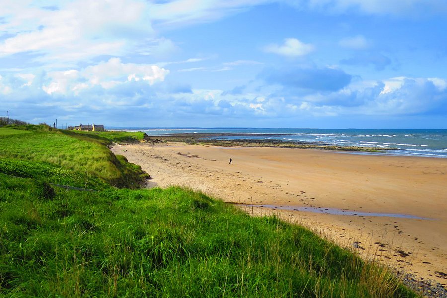 The Northumberland Coast Area of Outstanding Natural Beauty image