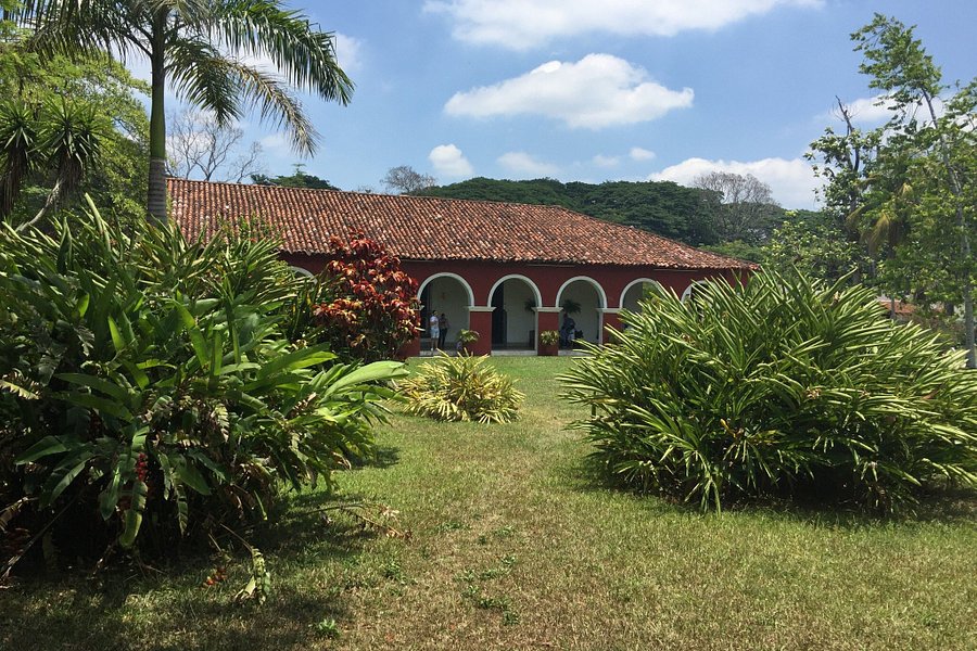 Hacienda Cacaotera La Luz image