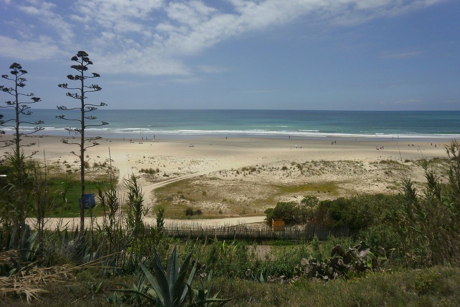 Playa de La Fontanilla image