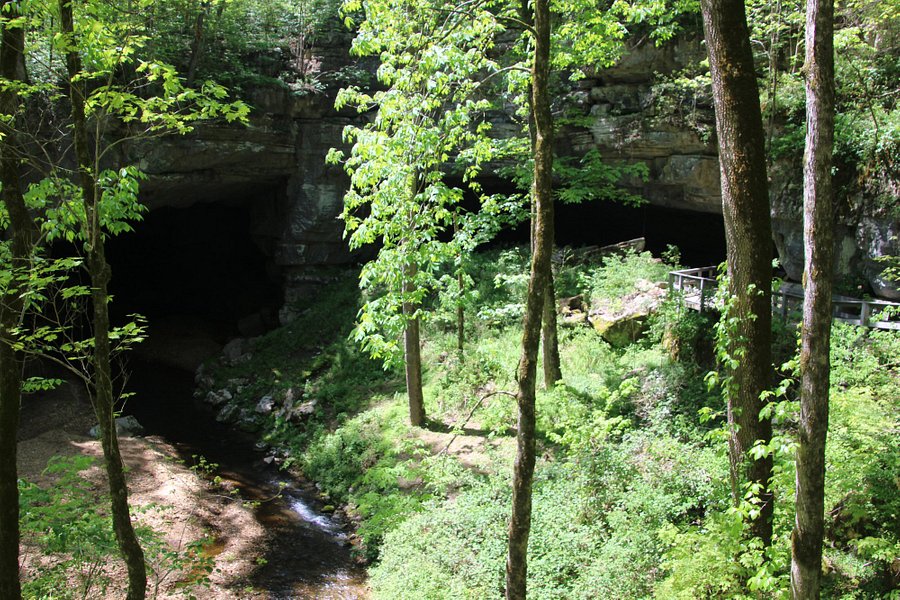 Russell Cave National Monument image