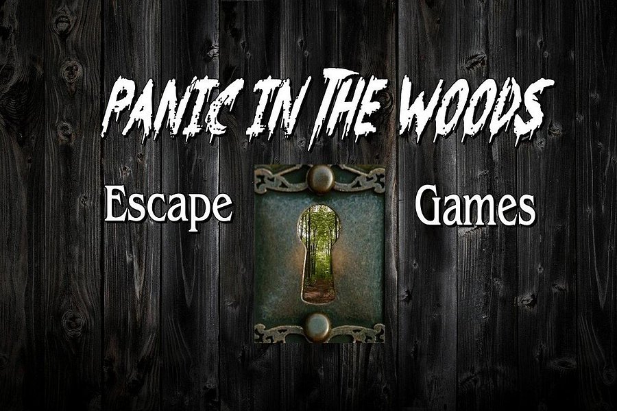 Panic in the Woods Escape Game image