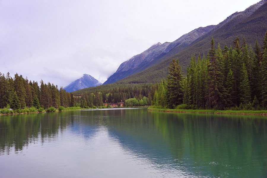 Bow River image