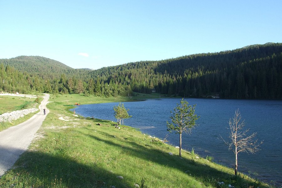 Zminicko Lake image