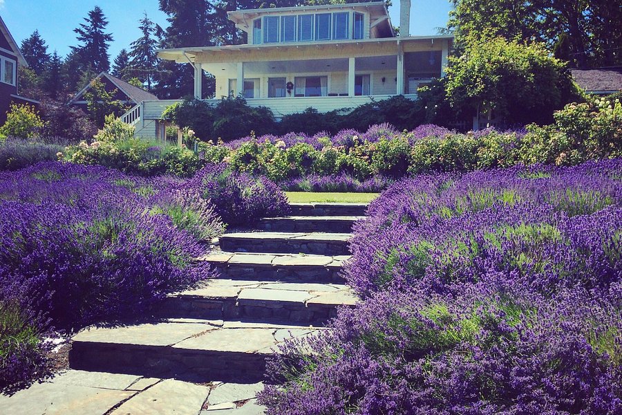 Lavender Hill Farm image
