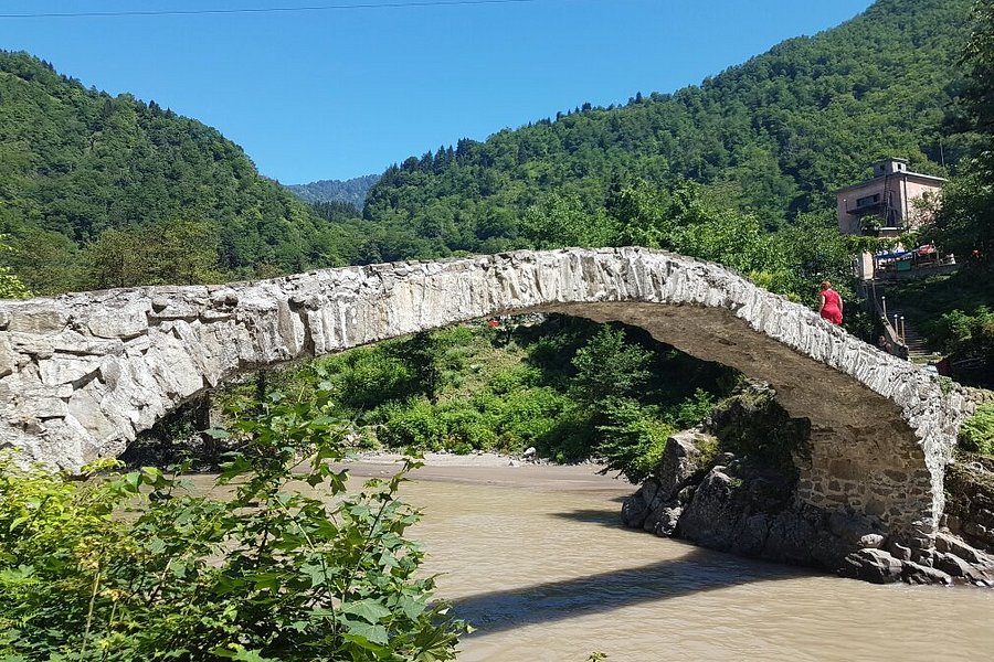 Bridge Mahuntseti image